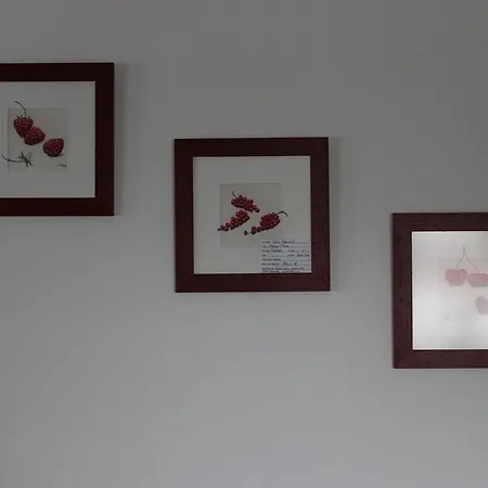 아파트 Zippel's Ferienwohnung 배드바카우